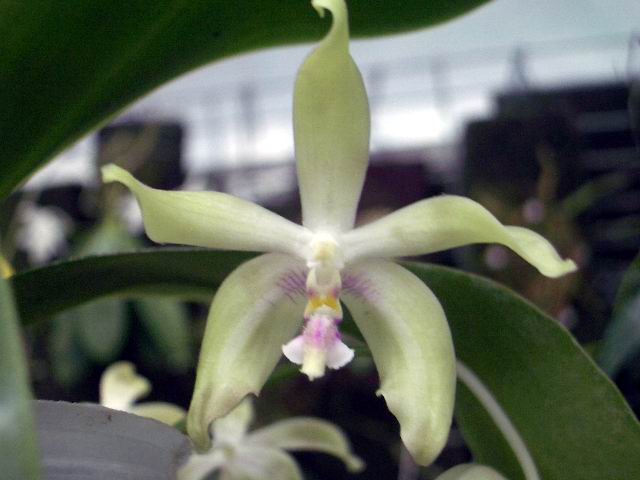 按此在新視窗瀏覽圖片