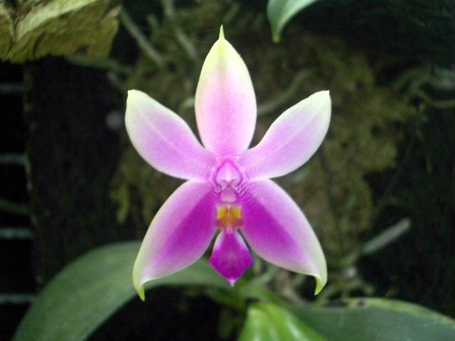 按此在新視窗瀏覽圖片