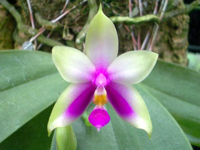 按此在新視窗瀏覽圖片