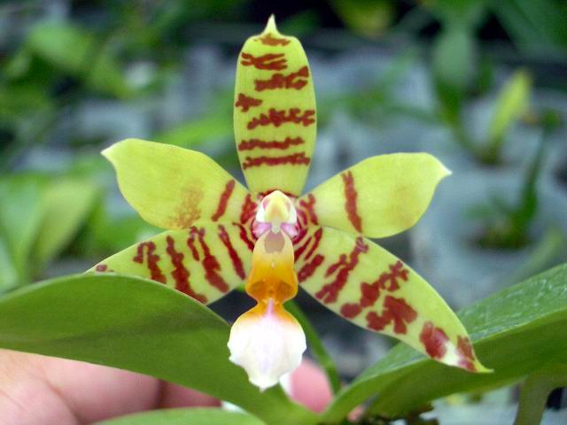 按此在新視窗瀏覽圖片