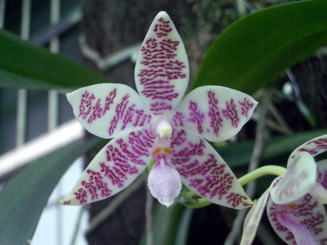 按此在新視窗瀏覽圖片