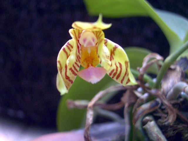 按此在新視窗瀏覽圖片