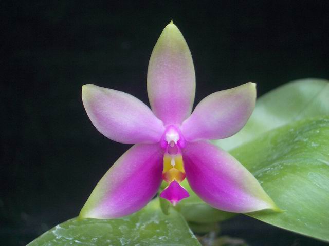 按此在新視窗瀏覽圖片