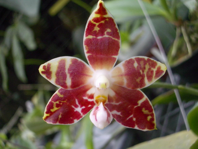 按此在新視窗瀏覽圖片