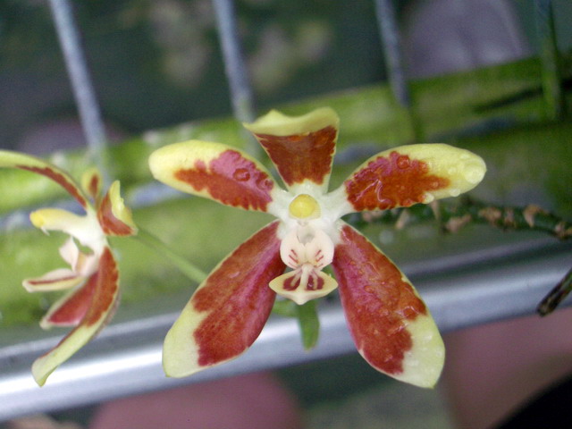 按此在新視窗瀏覽圖片