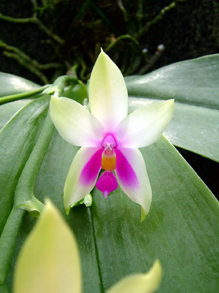 按此在新視窗瀏覽圖片