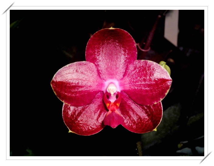 按此在新視窗瀏覽圖片