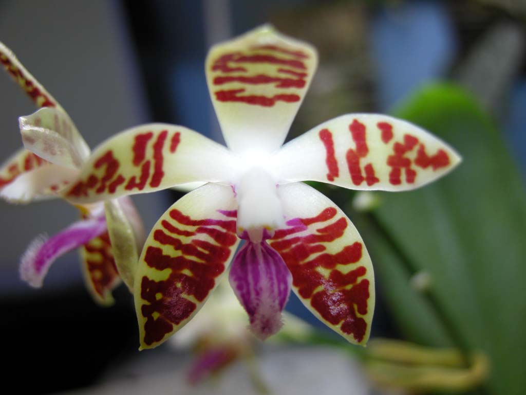 按此在新視窗瀏覽圖片