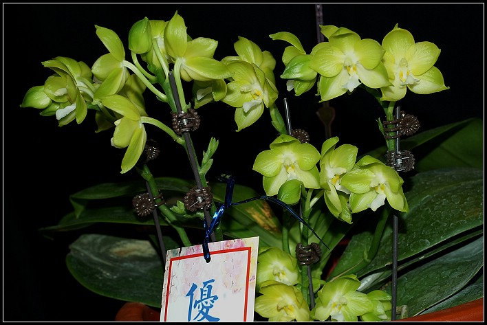 按此在新視窗瀏覽圖片