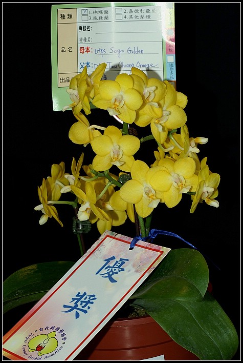 按此在新視窗瀏覽圖片