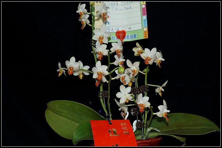 按此在新視窗瀏覽圖片