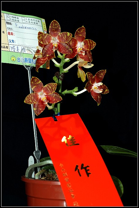 按此在新視窗瀏覽圖片