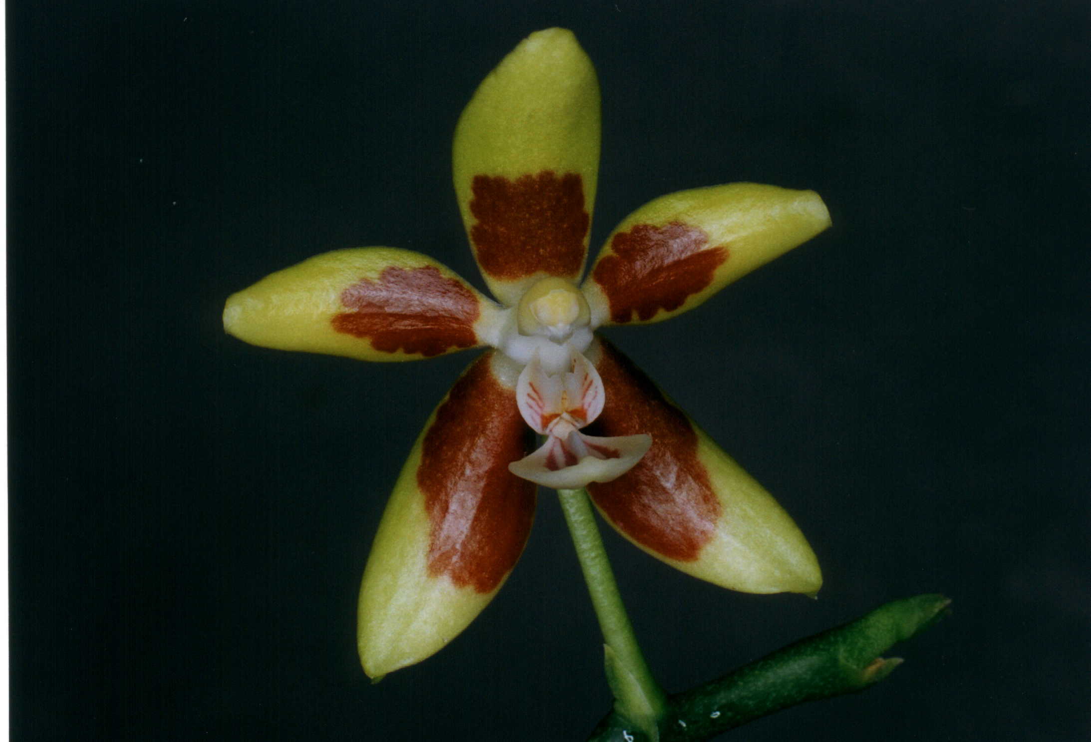 按此在新視窗瀏覽圖片