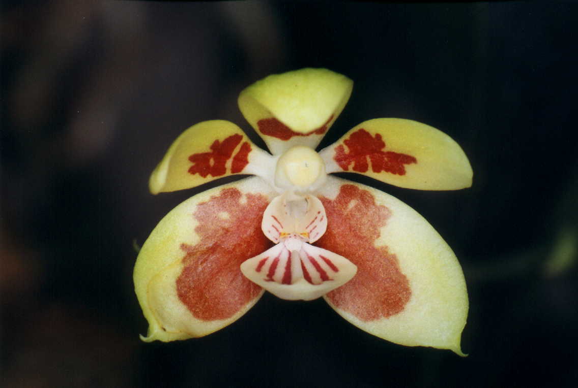 按此在新視窗瀏覽圖片