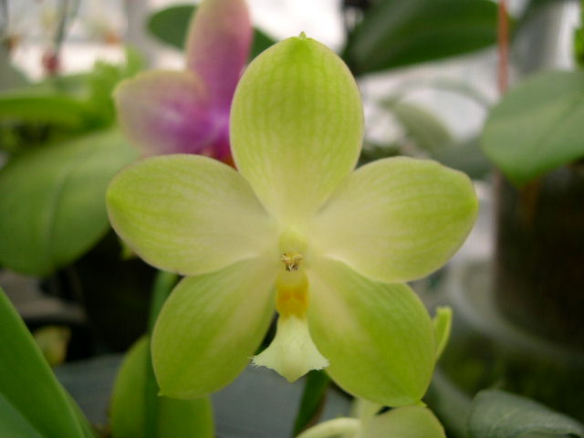 按此在新視窗瀏覽圖片