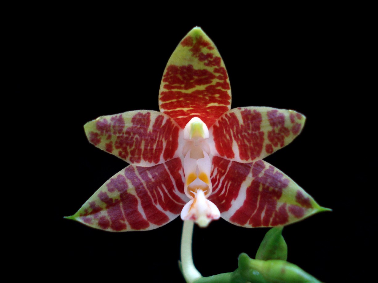 按此在新視窗瀏覽圖片