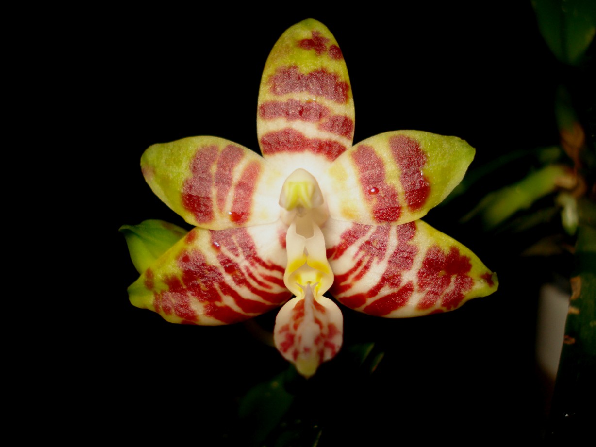 按此在新視窗瀏覽圖片