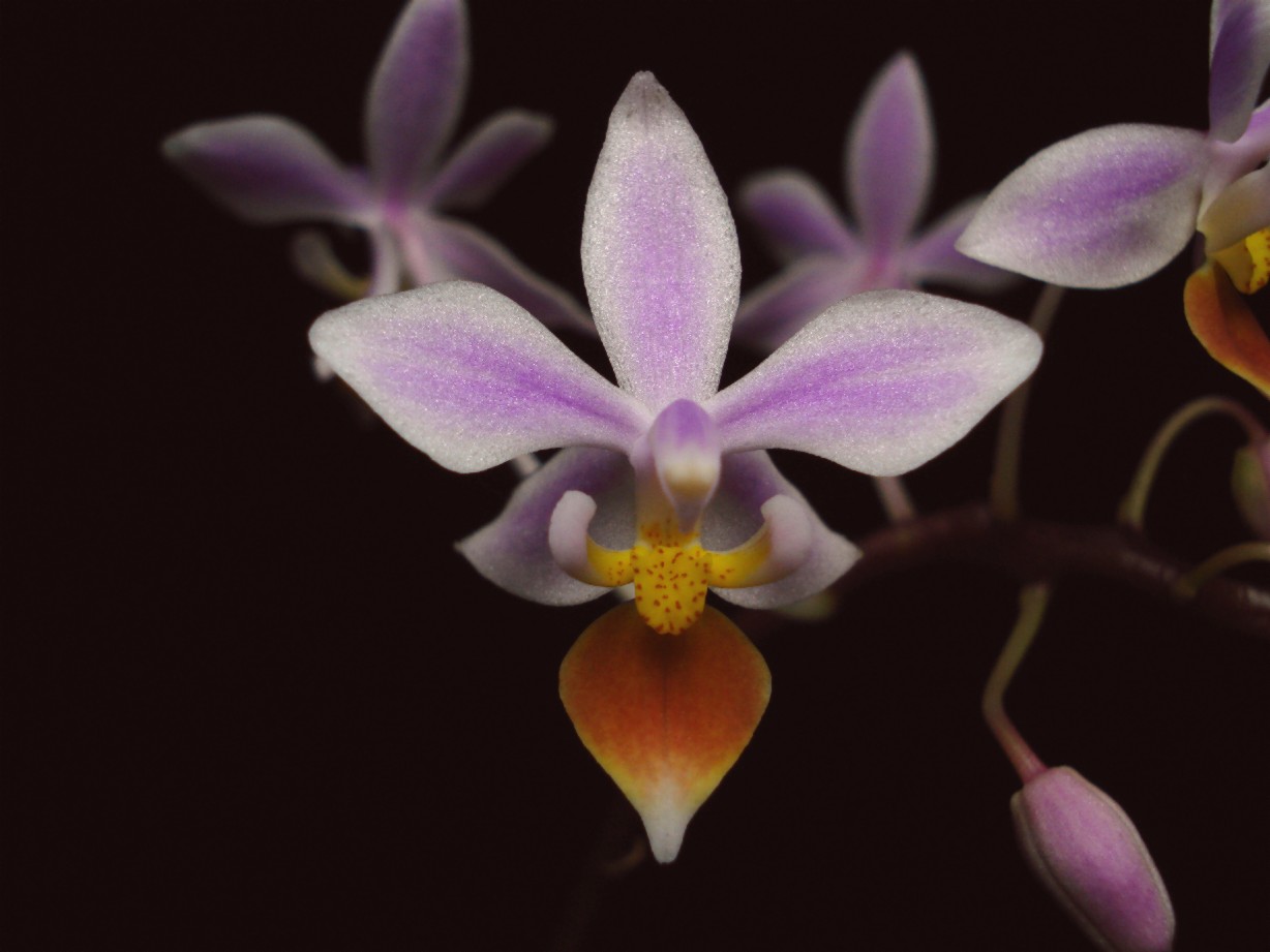 按此在新視窗瀏覽圖片