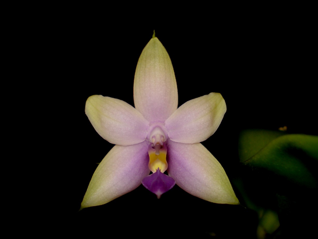 按此在新視窗瀏覽圖片