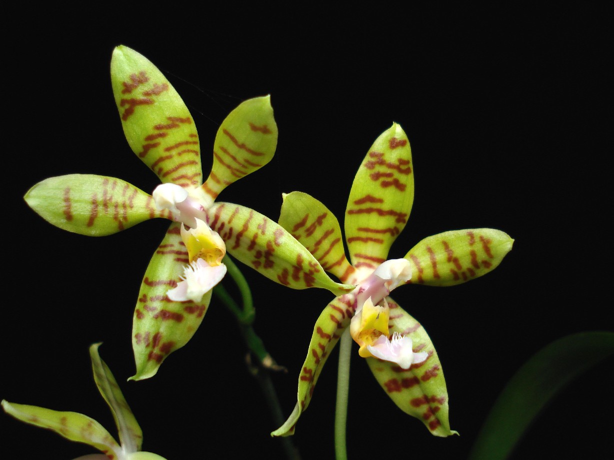 按此在新視窗瀏覽圖片