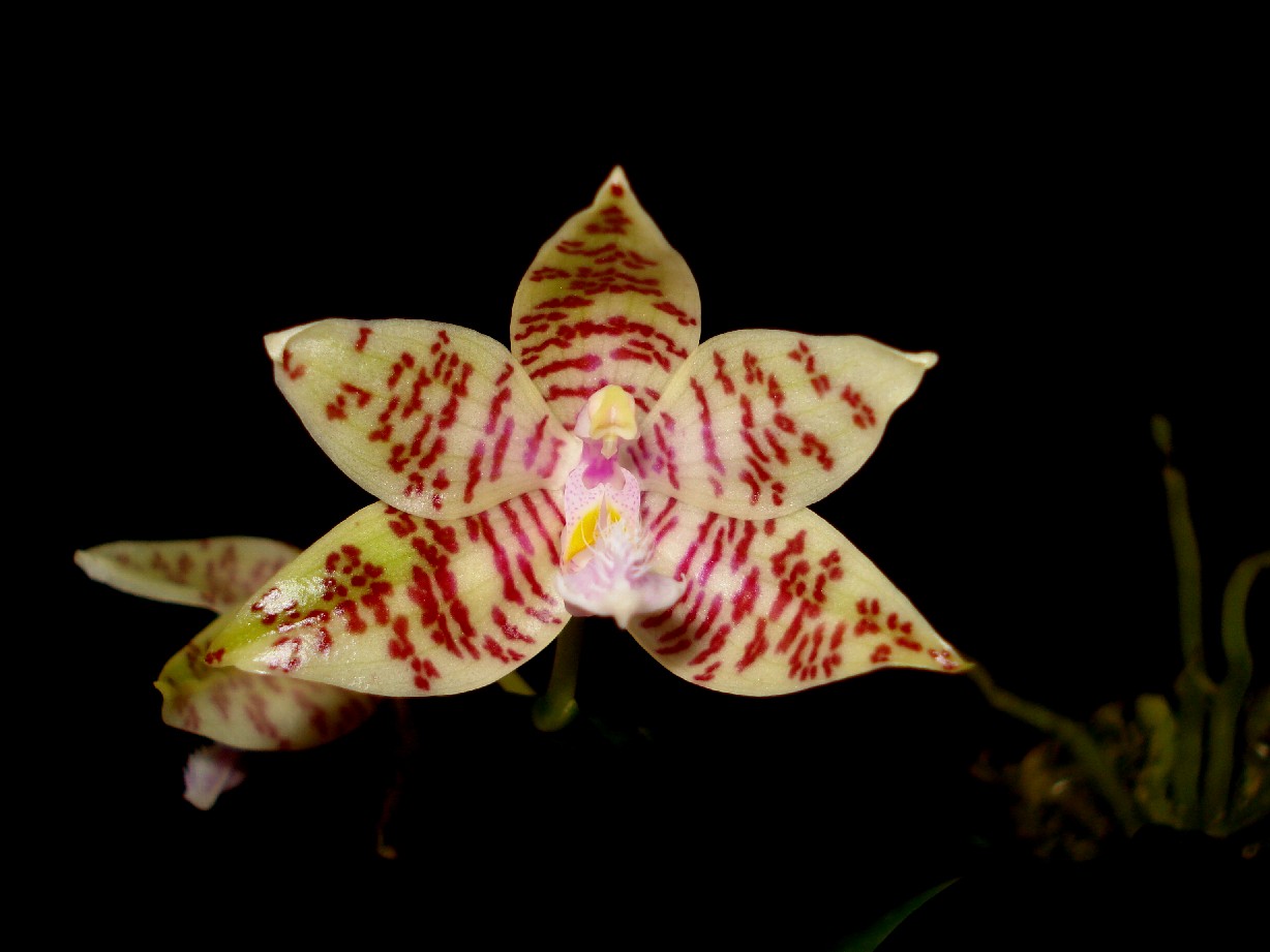 按此在新視窗瀏覽圖片