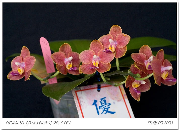 按此在新視窗瀏覽圖片