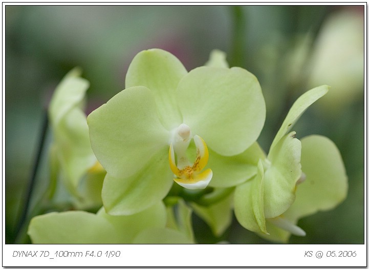 按此在新視窗瀏覽圖片