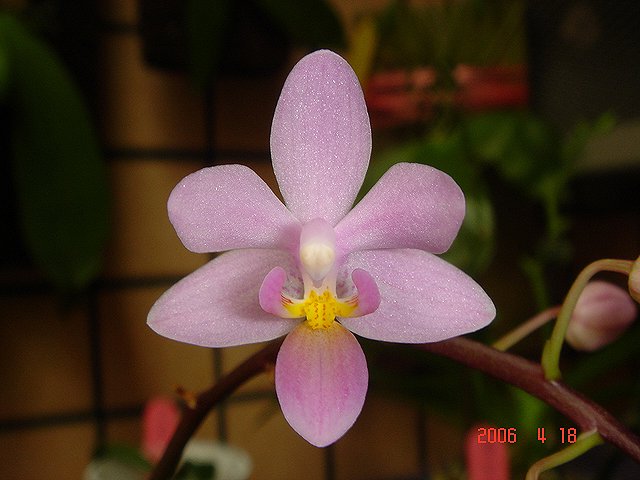 按此在新視窗瀏覽圖片