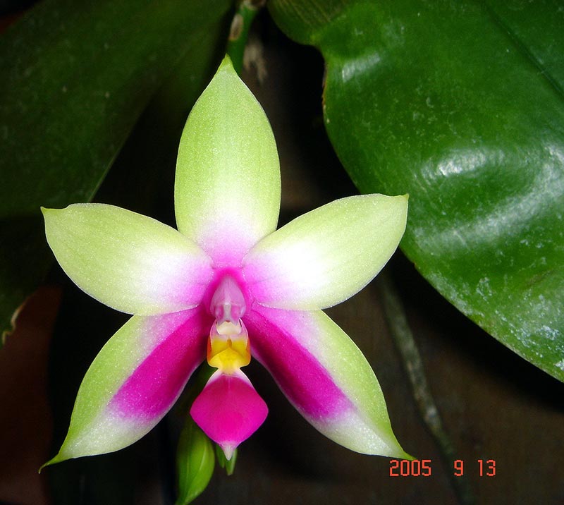 按此在新視窗瀏覽圖片