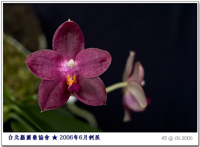 按此在新視窗瀏覽圖片