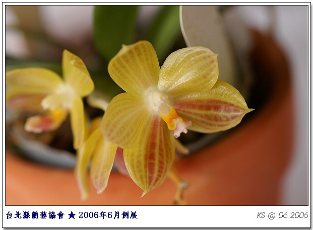 按此在新視窗瀏覽圖片