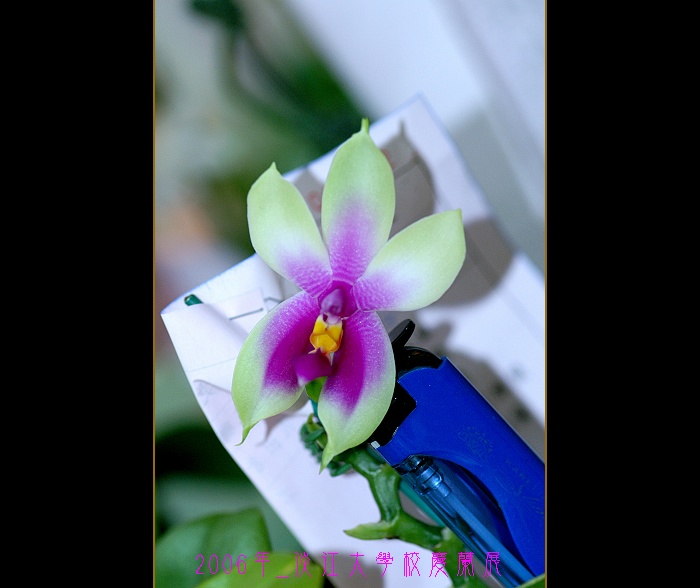 按此在新視窗瀏覽圖片