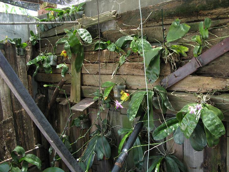 按此在新視窗瀏覽圖片