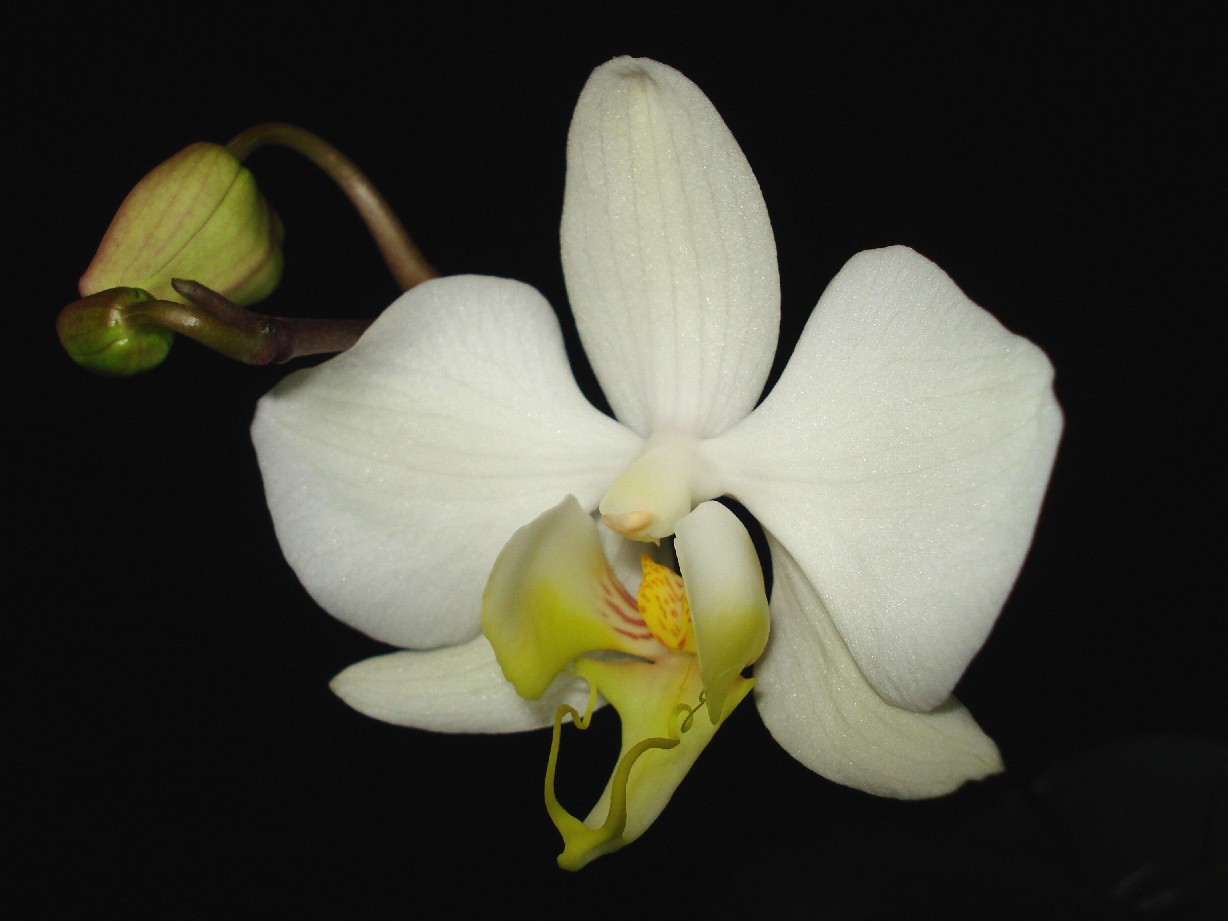 «ö¦¹¦b·sµøµ¡ÂsÄý¹Ï¤ù