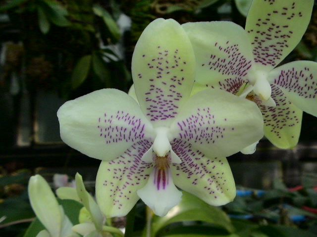 «ö¦¹¦b·sµøµ¡ÂsÄý¹Ï¤ù