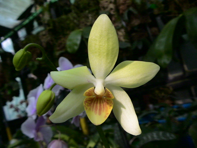 «ö¦¹¦b·sµøµ¡ÂsÄý¹Ï¤ù