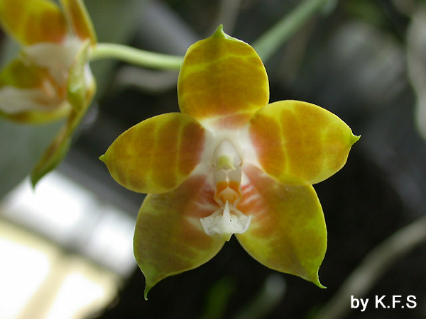 按此在新視窗瀏覽圖片