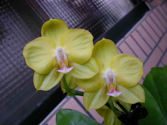 按此在新視窗瀏覽圖片