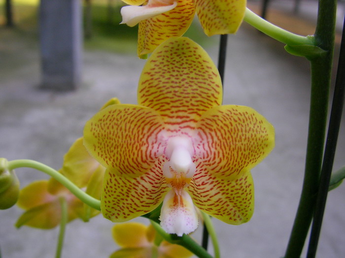 按此在新視窗瀏覽圖片