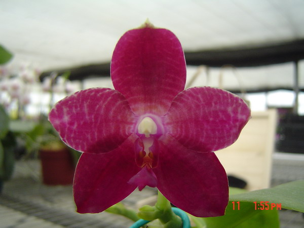 按此在新視窗瀏覽圖片