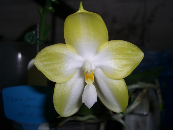 按此在新視窗瀏覽圖片