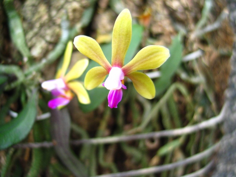 按此在新視窗瀏覽圖片