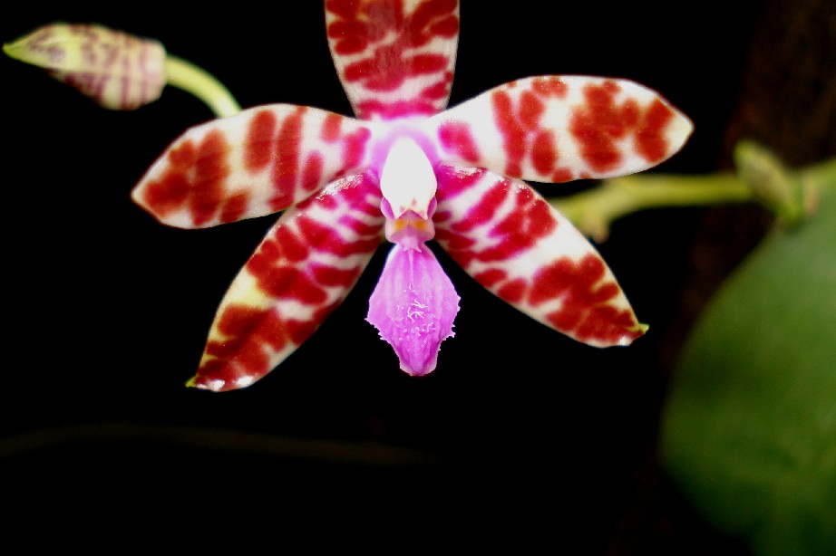 按此在新視窗瀏覽圖片