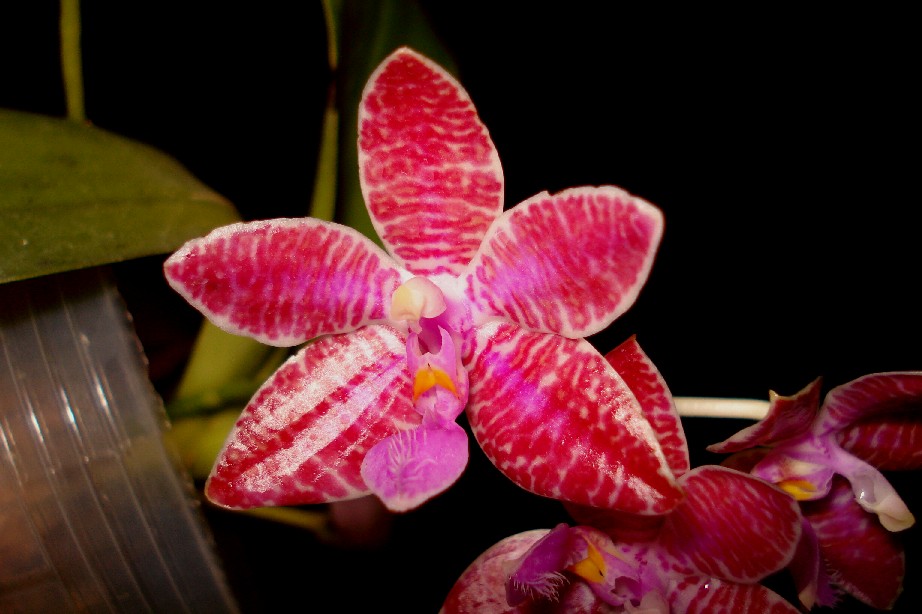 按此在新視窗瀏覽圖片