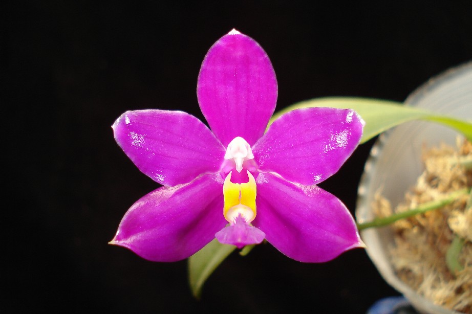 按此在新視窗瀏覽圖片