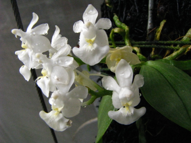 按此在新視窗瀏覽圖片