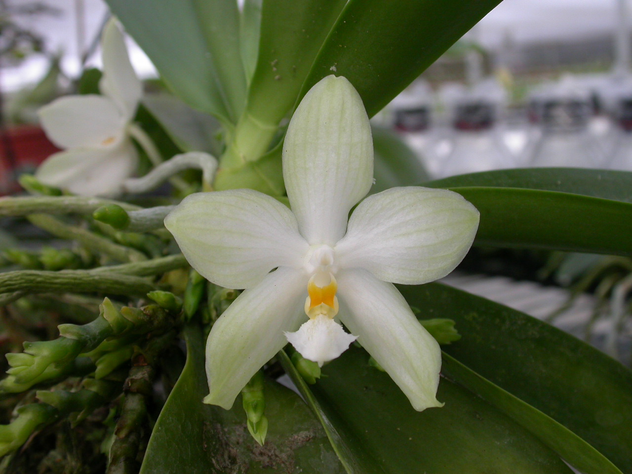 按此在新視窗瀏覽圖片