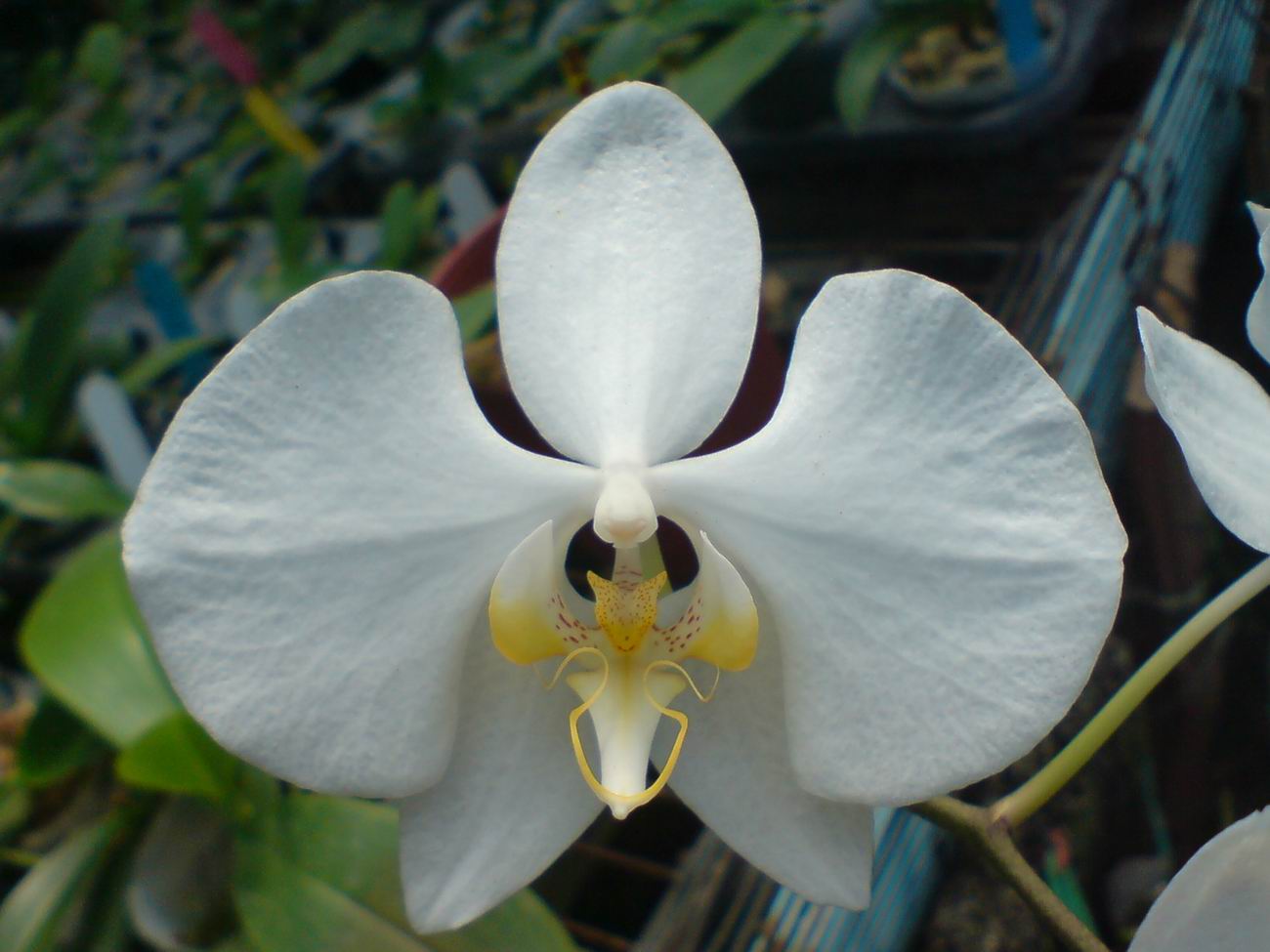 按此在新視窗瀏覽圖片