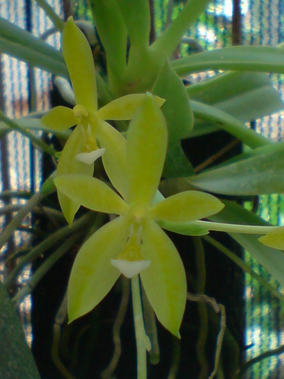 按此在新視窗瀏覽圖片