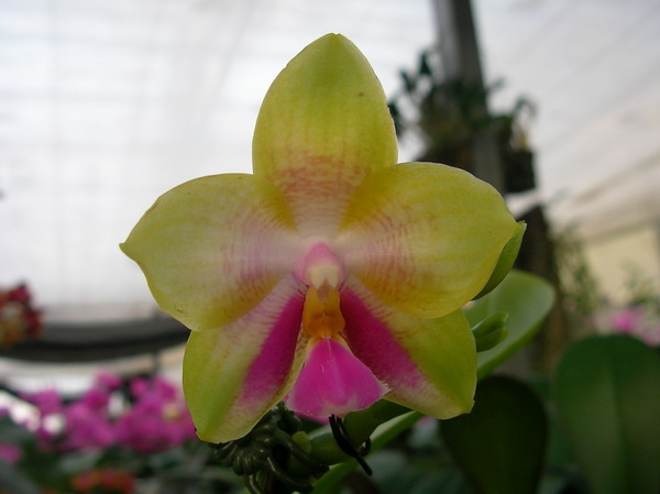 按此在新視窗瀏覽圖片